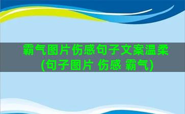 霸气图片伤感句子文案温柔(句子图片 伤感 霸气)